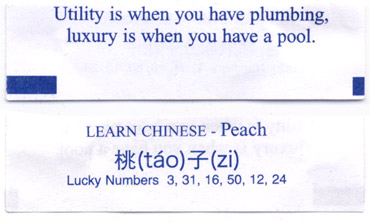 Utility is when you have plumbing, luxury is when you have a pool. Learn Chinese - Peach - tao zi. Lucky Numbers 3, 31, 16, 50, 12, 24