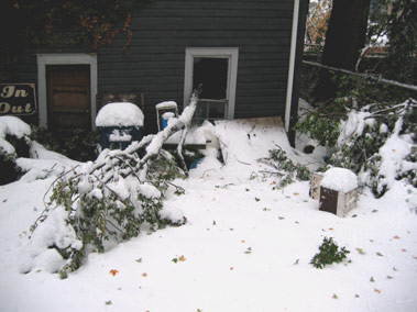 twelve more inches of snow and a giant tree branch through a garage window